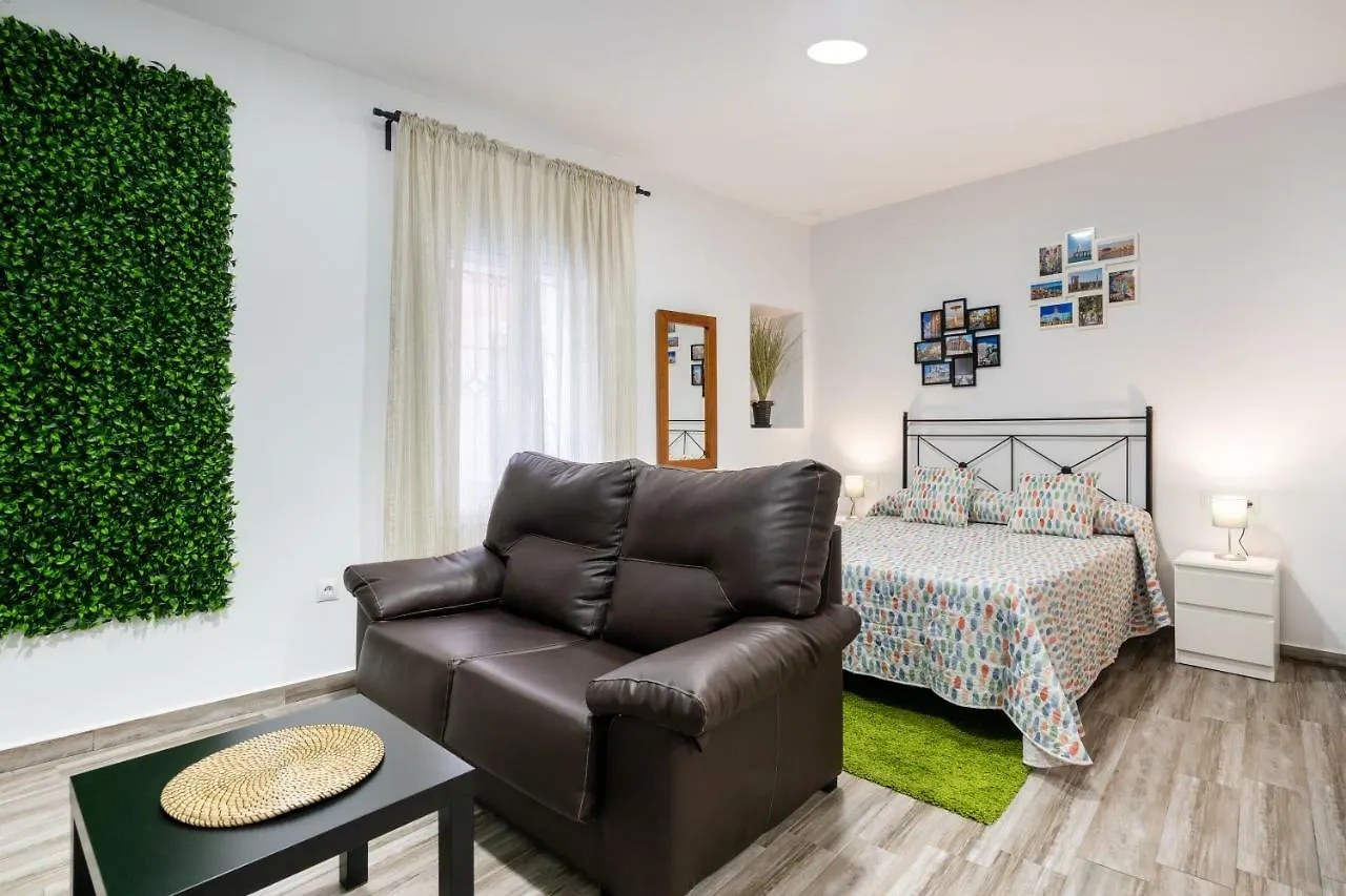 Encantador Loft Teatro Falla Cadix